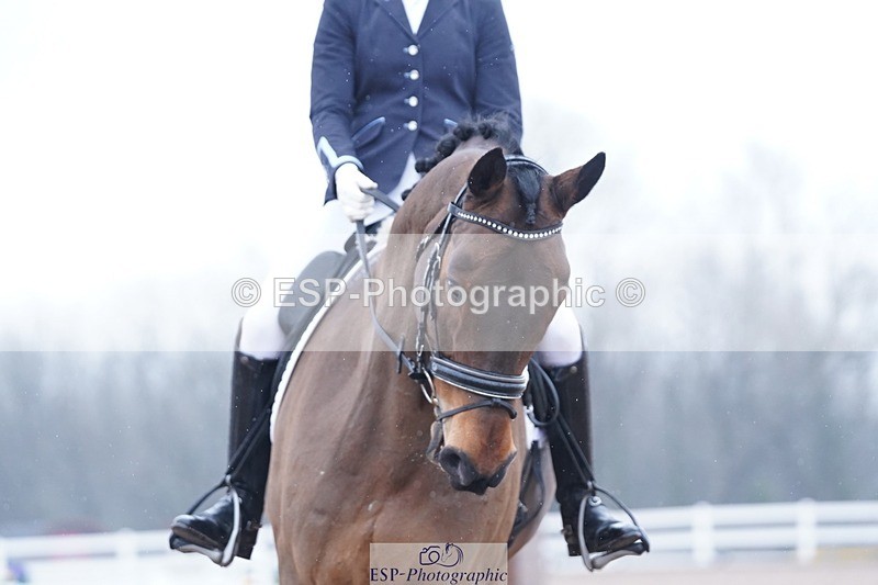 250215-131916-04095 - 233-Esme.Freeman-Tremadoc