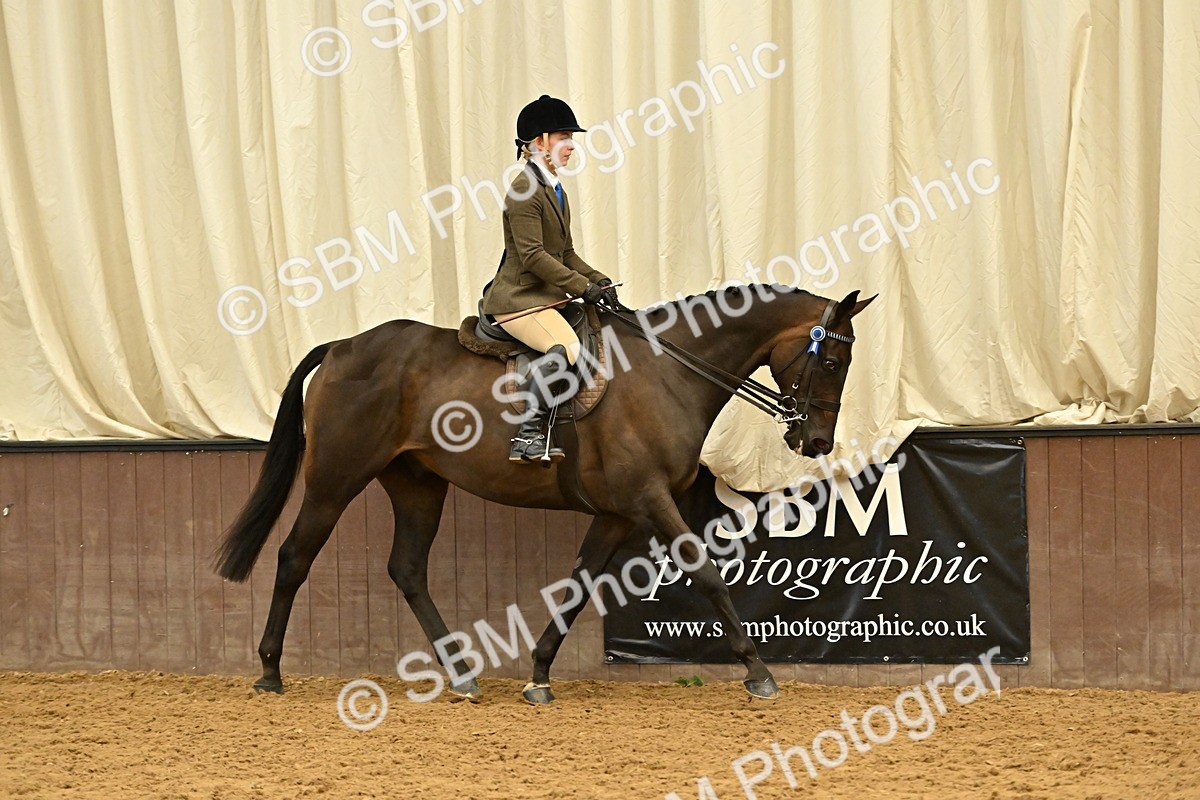 SBM_001985 - Class 24 - BSHA Ridden Racehorse to Show Horse