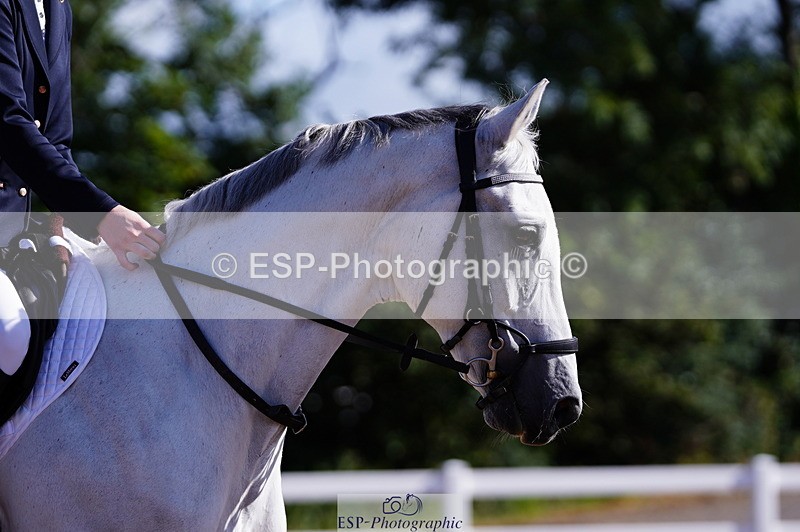 240809A-091738-00203 - Dressage Competition