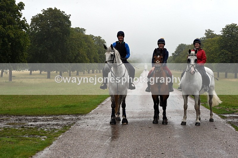 TT3_8517 - Time at Crossing 11:44 to 12:54