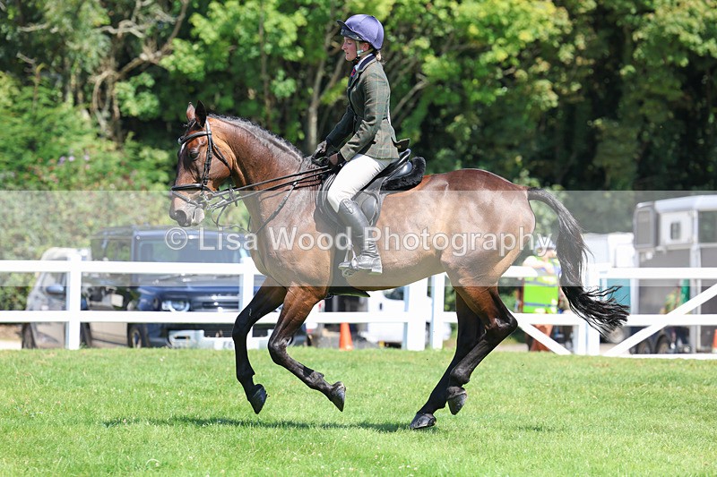 3E7A8979 - Class 6: Open Working Horse