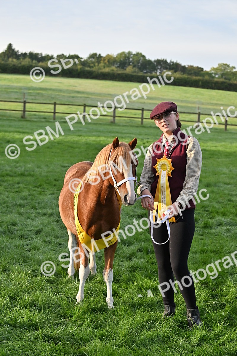 SBM_54632 - S44 - Youngstock In Hand