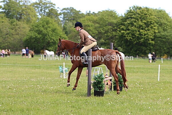 IMG_2954 - Working Hunter