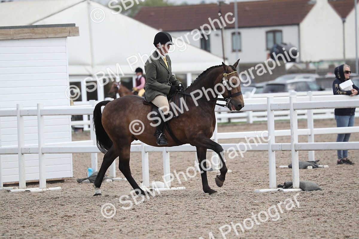 SBM_17393 - Class 315 Best Horse/Rider Combination