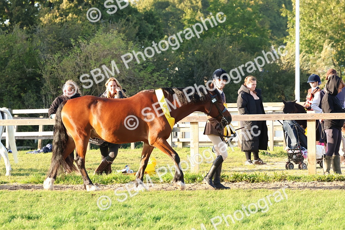 SBM_53113 - Veteran Supreme Championship