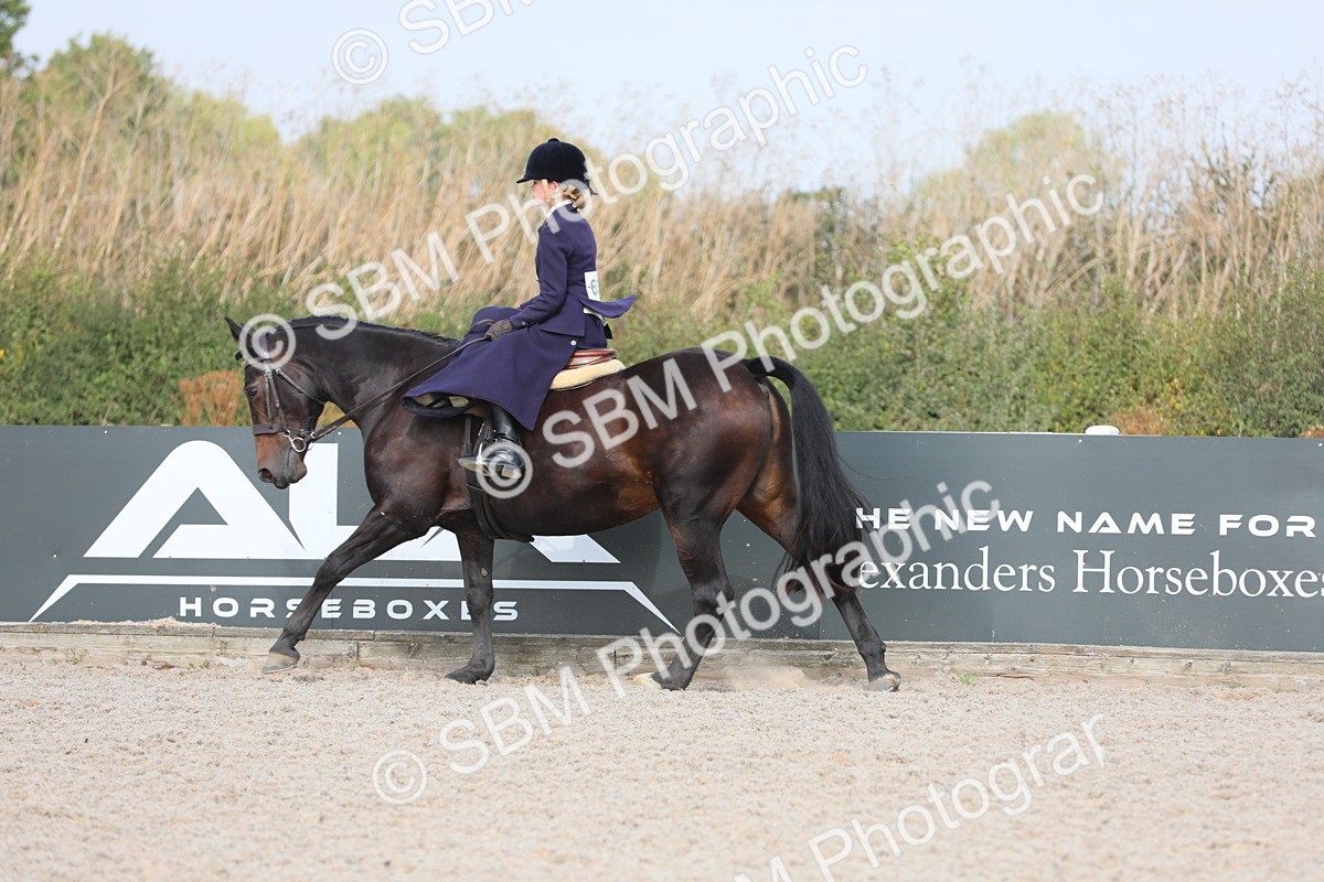 SBM_14557 - Class 211 Best Side Saddle Horse/Pony