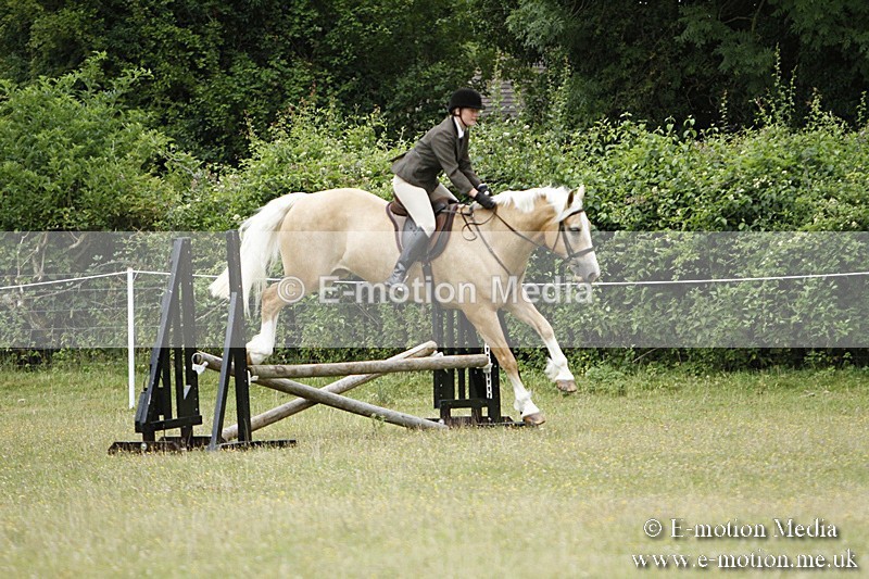 BVR160717-104 - Ring 3 BVRC Show 16/07/17