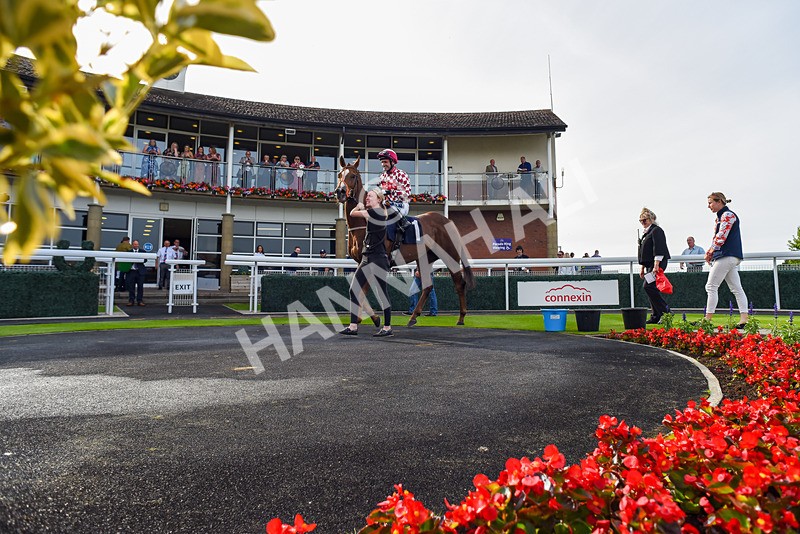 050724-Race 2-Ventura Express-2-1 - Race 2