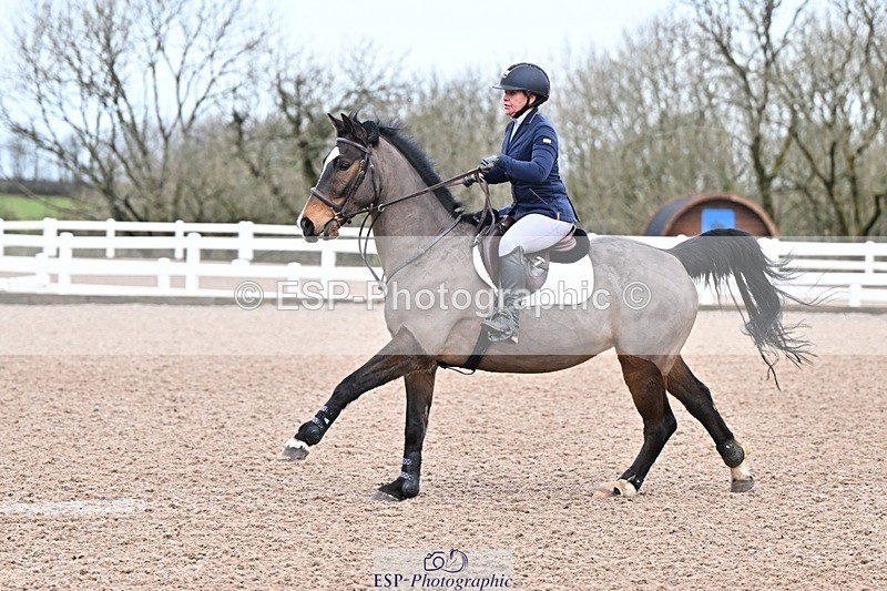 250129-093603-00012 - Cls 01 Snr Brit Nov - 90 Open & CR