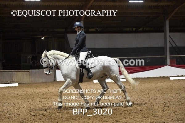 BPP_3020 - ELEM TEST 4