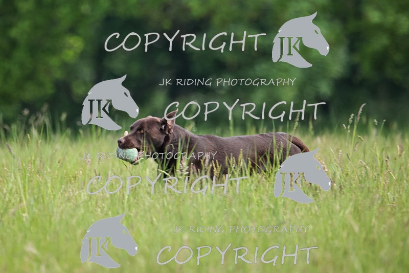 2R6A8034 - 17 Hannah