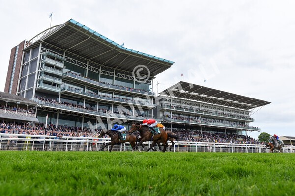 yr13052022r3-33 - Race 3 3.00pm Paddy Power 'I Love Steak' Stakes