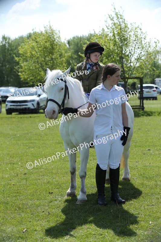20250427-2793 - Class 6 - Pony Judge Would Most Like To Take Home