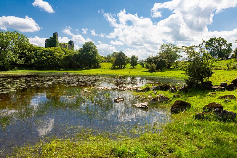 Rinndown Castle - West of Ireland