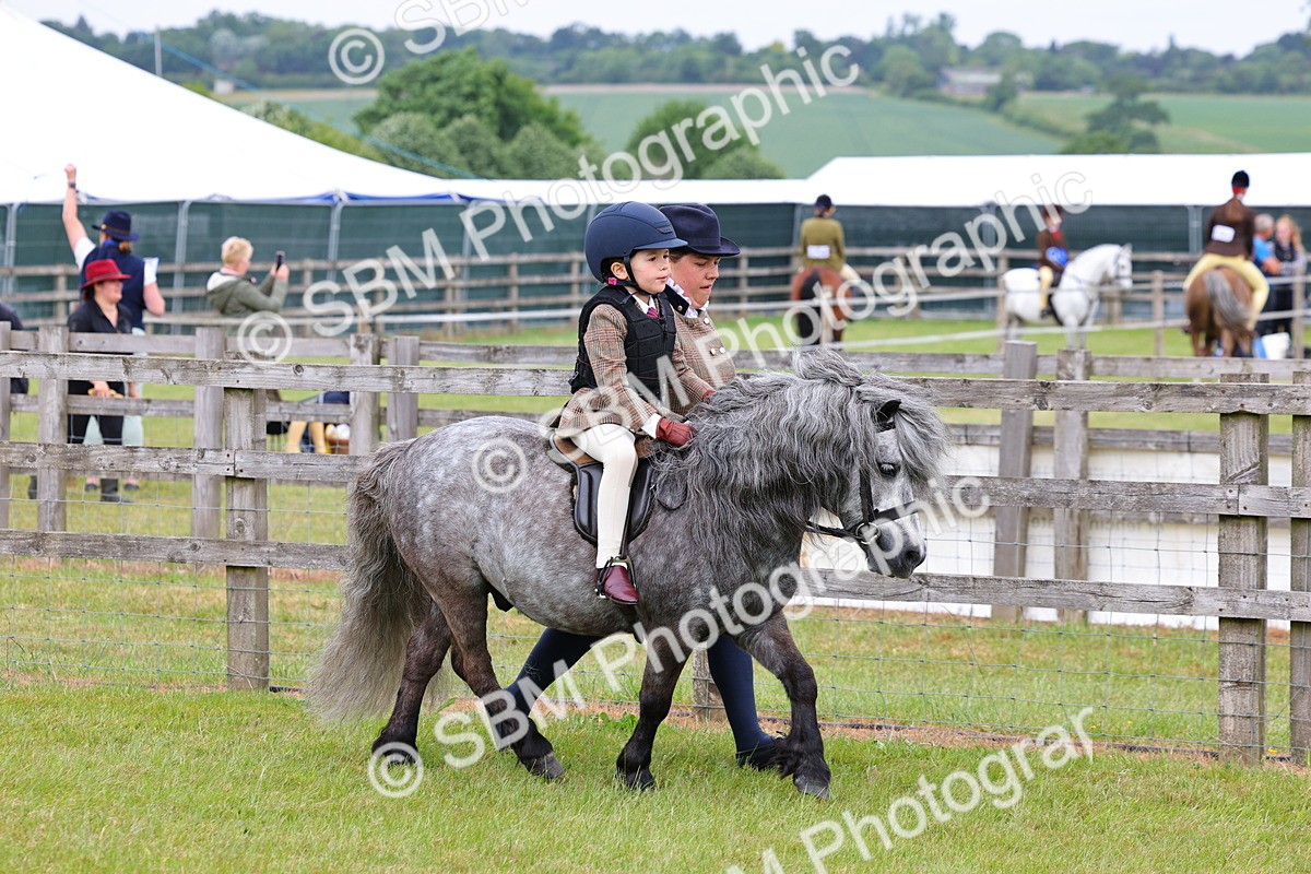 SBM_08108 - Class 42-43 - LIHS BSPS Heritage Working Sports Pony