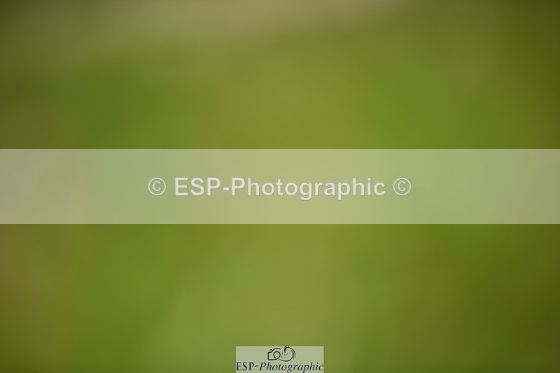 240605-134012-01035 - Cls 6 Elementary 59 SQ