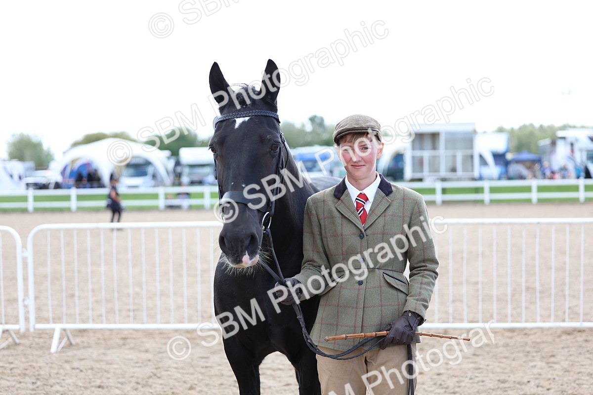 SBM_15382 - Class 312 - IH Competition Horse-Pony