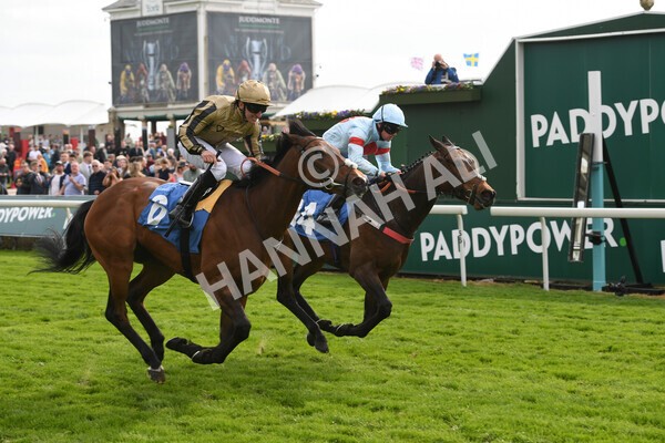 yr13052022r6-35 - Race 6 4.45pm Yorkshire Equine Practice Stakes