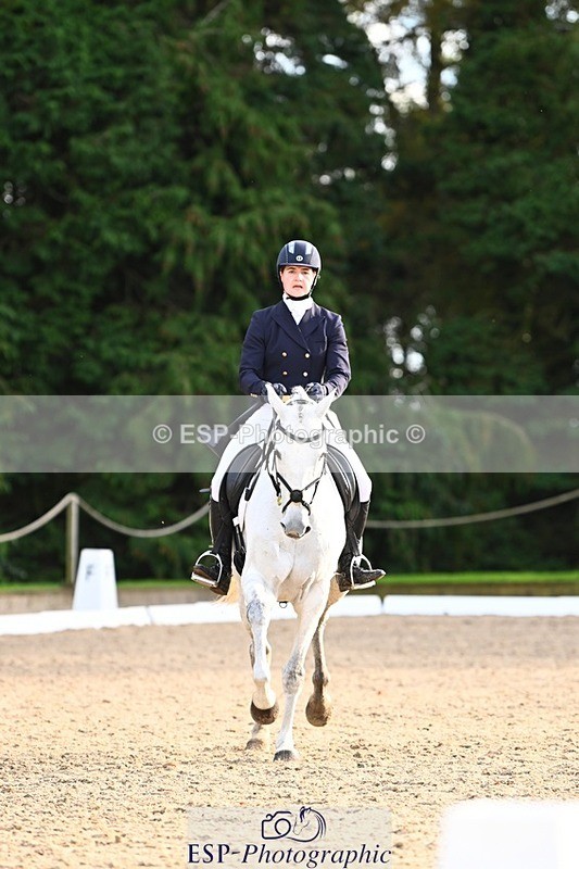 231021-155849-20983 - 262-GOOD.BOY.ALEX-Tara.Jefferies-DR