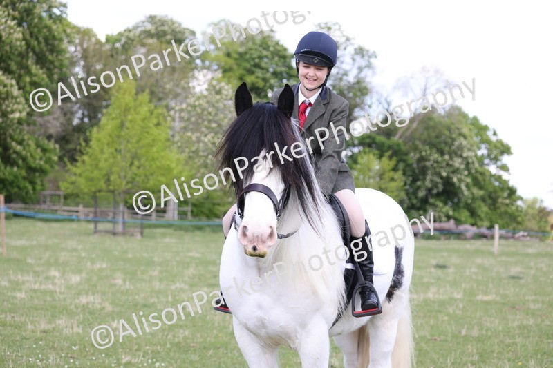 20250427-4088 - Class 34 - Best Riding Horse Over 14.2hh