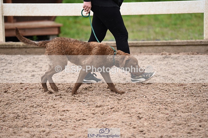 240518A-124938-01216 - Cls 5 Best Purebred