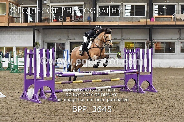 BPP_3645 - FRI CLASS 21 BR NOVICE/90CM