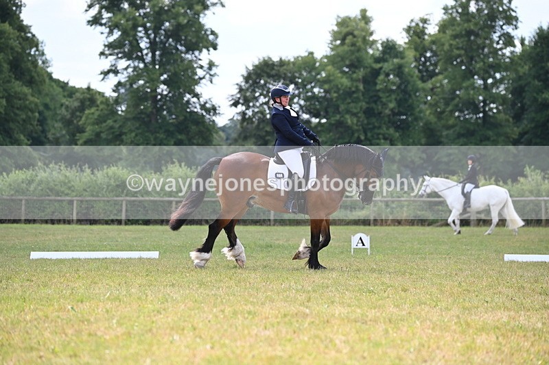 WJ6_6770 - Time 11:48 to 12:22