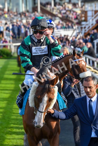 230923-Race 6-September Power-6882 - Race 6 4.55pm New To York Rio Brazilian Handicap