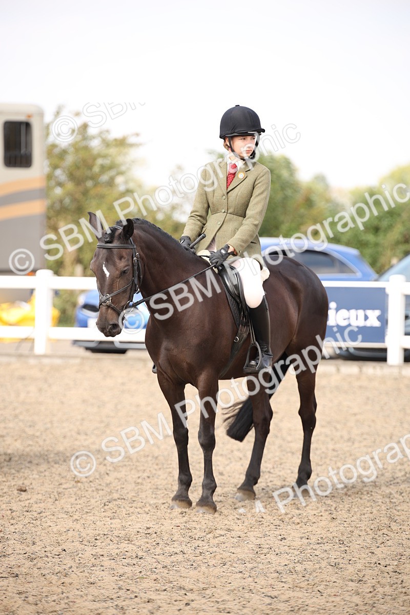 SBM_15067 - Class 408a - Working Veteran 70cm (15-19