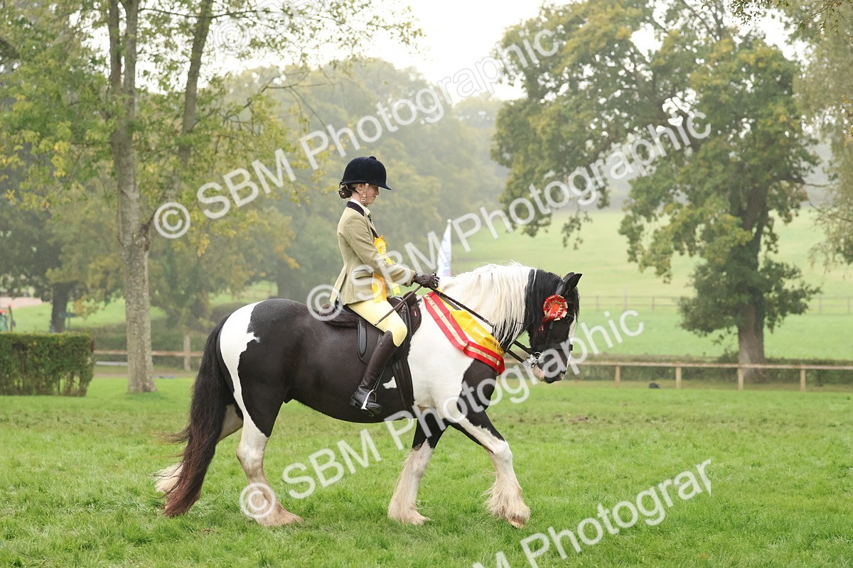 SBM_73186 - Super Supreme Championship(Sun)