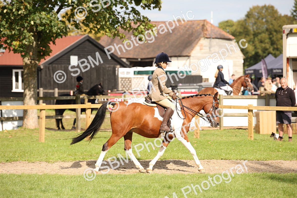 SBM_49967 - S26 - Young Veteran - Ridden