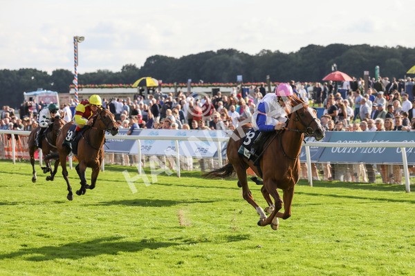 240823-Race 7-Nigiri-5495 - Race 7 5.20pm British EBF 40th Anniversary Fillies' Handicap