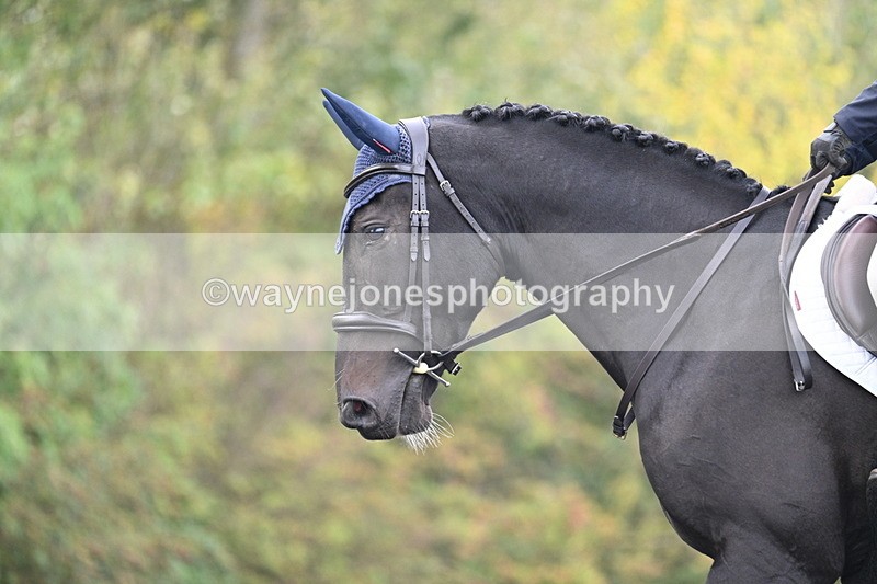 WJ7_2680 - Time 09:00 to 09:35