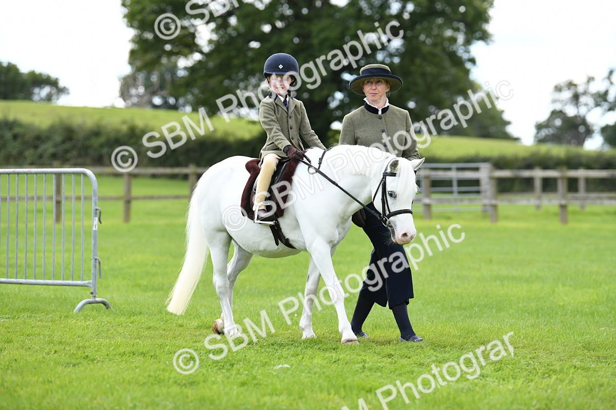 SBM_42420 - S20 - Lead Rein Mountain & Moorland Pony