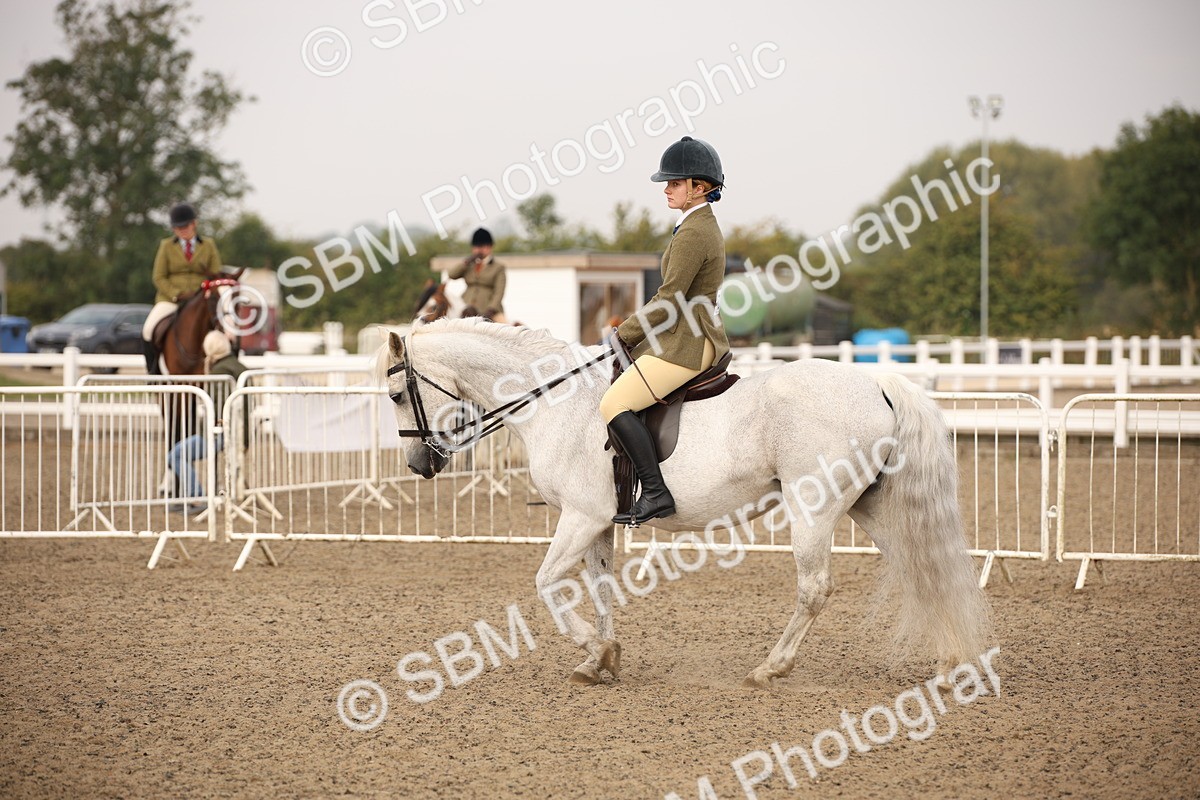 SBM_09807 - Class 401 Riding Club Pony