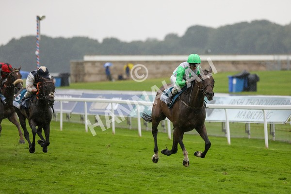 140723-Race 7-Gibside-8660 - Race 7 5.30pm William Hill Extra Place Races Daily Apprentice Handicap
