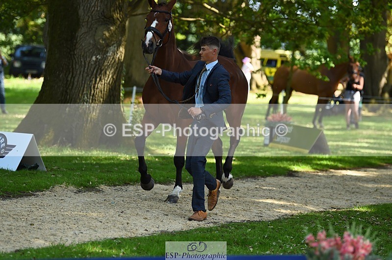 230524-160252-00640 - 201-JAEGER_MASTER-Tom_Woodward-WEDTrotUp+DR