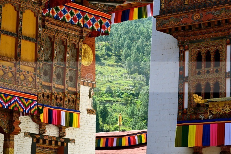 A glimpse through to the green - Bhutan