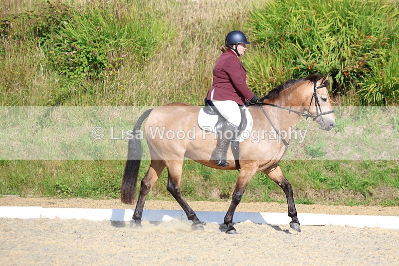 3E7A3397 - Class 2: Intro 1 2024 Section B