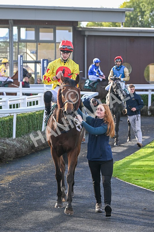 191024-Race 5-Vince Le Prince-4513 - Race 5