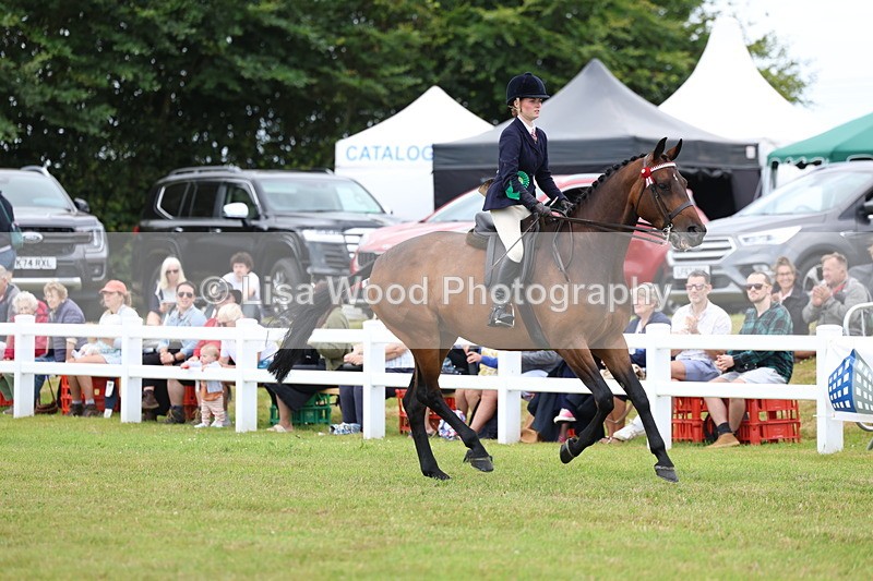 3E7A1305 - Class 8: Open Riding Horse/Hack