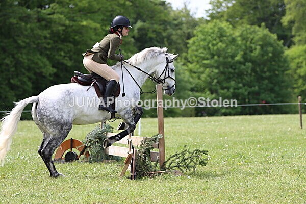 IMG_3126 - Working Hunter