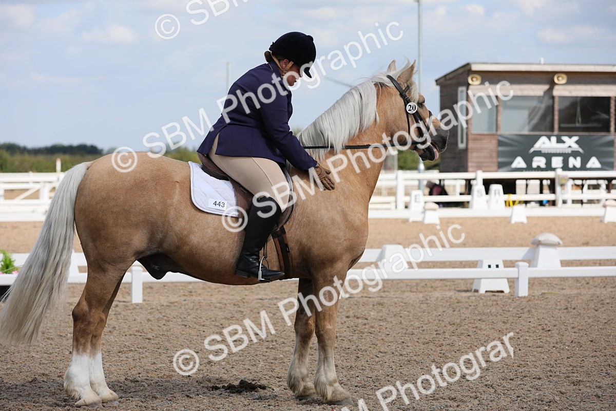 SBM_04047 - Class 31 Prelim 1