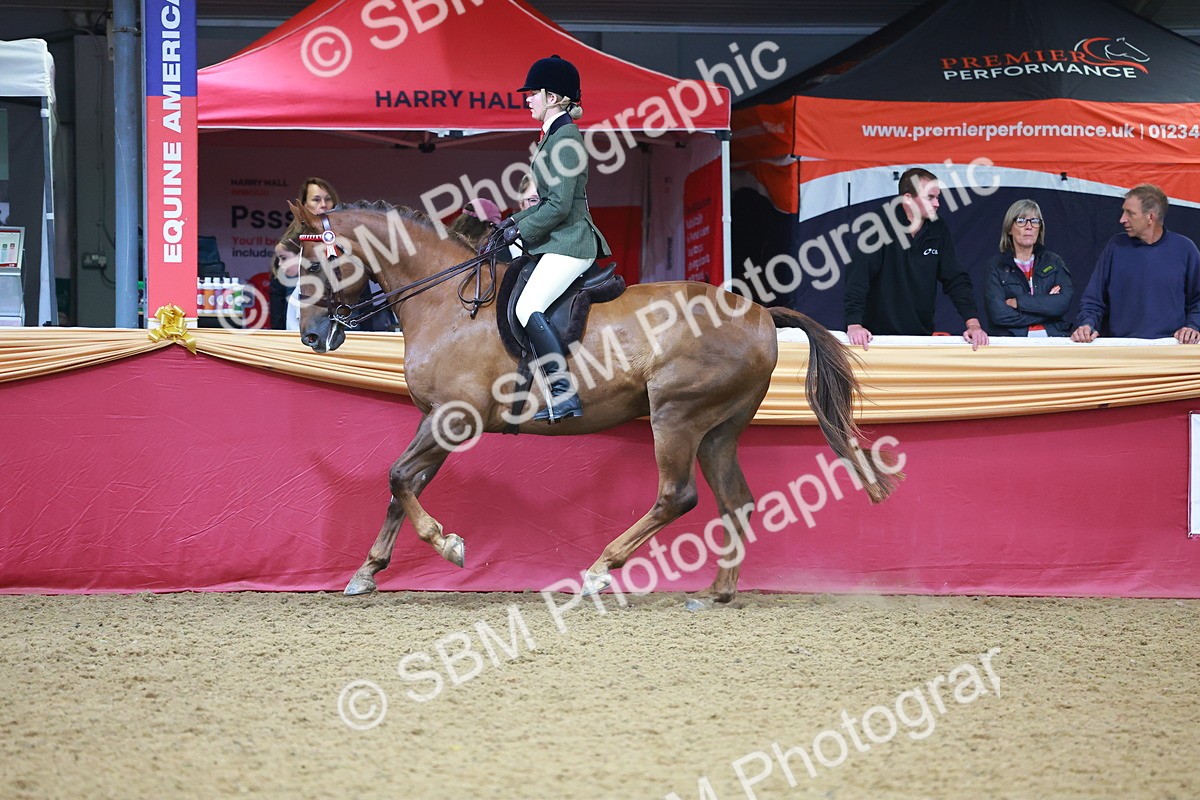 SBM_09779 - Class 102 - HOYS Veteran Qualifier - Ridden Veteran