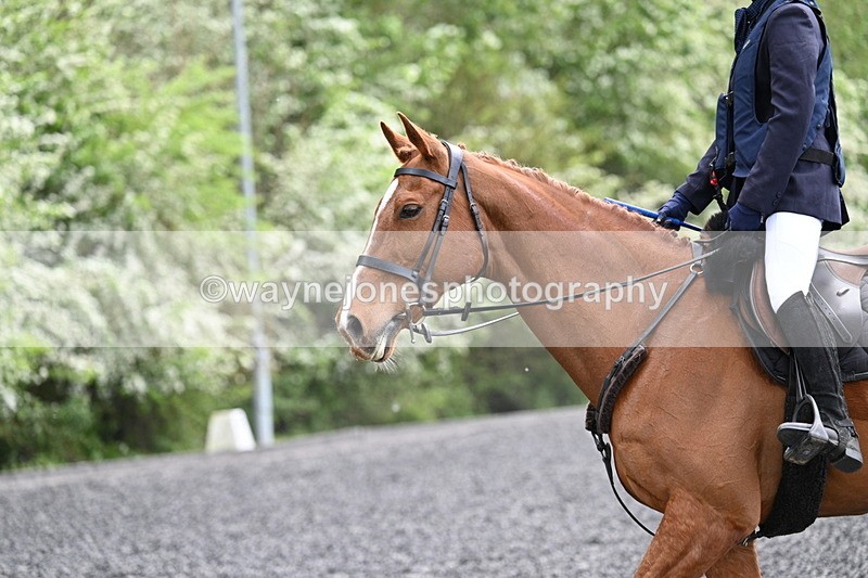 WJ7_0802 - Time 14:01 to 14:12