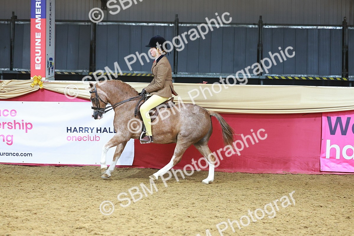 SBM_12491 - Class 103 - HOYS Veteran Qualifier - Ridden Pre Vet