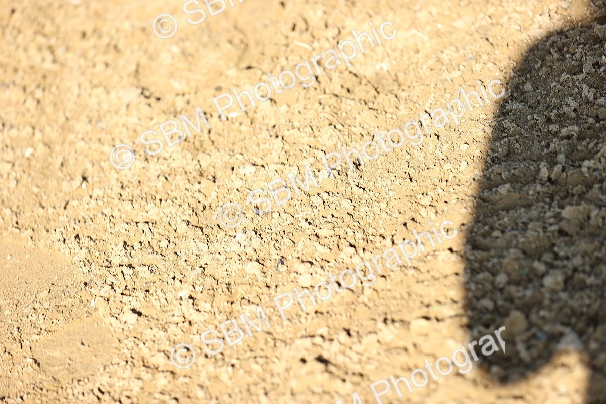 SBM_015839 - Class 17 - National Grade B Handicap Grade C Handicap