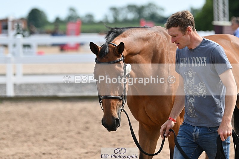 240717A-161449-03375 - Trot Up 4pm to 5pm