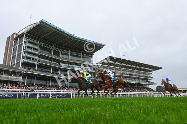 yr07102022r1-14 - Race 1 2.05pm Parsonage Hotel and Cloisters Spa Stakes