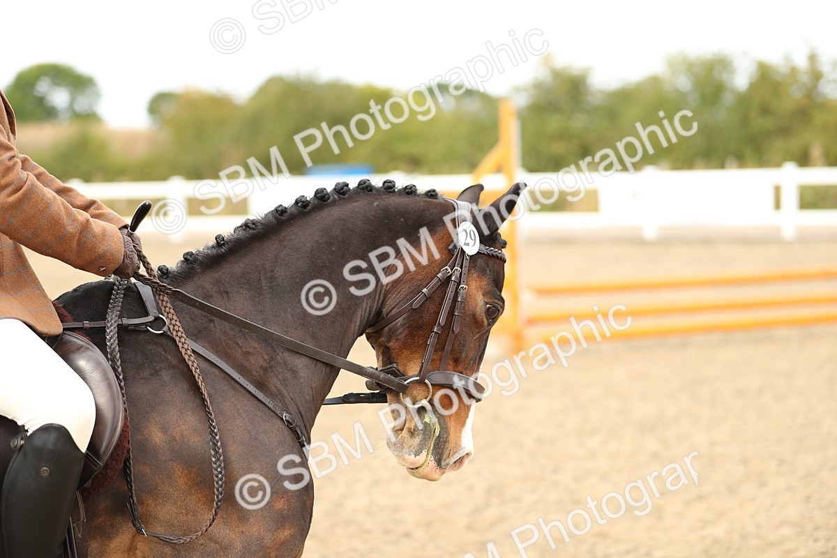 SBM_05248 - Class 47b Style & Performance 60cm (20+)